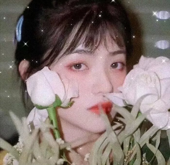 我爱上了朋友的姐姐